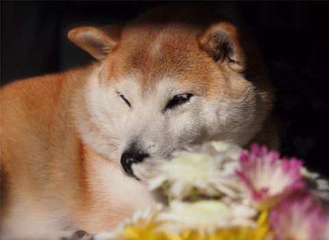 16日ブログ8.jpg