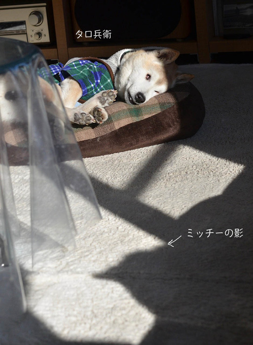 7日ブログ5