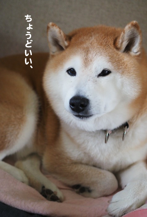 13日ブログ3