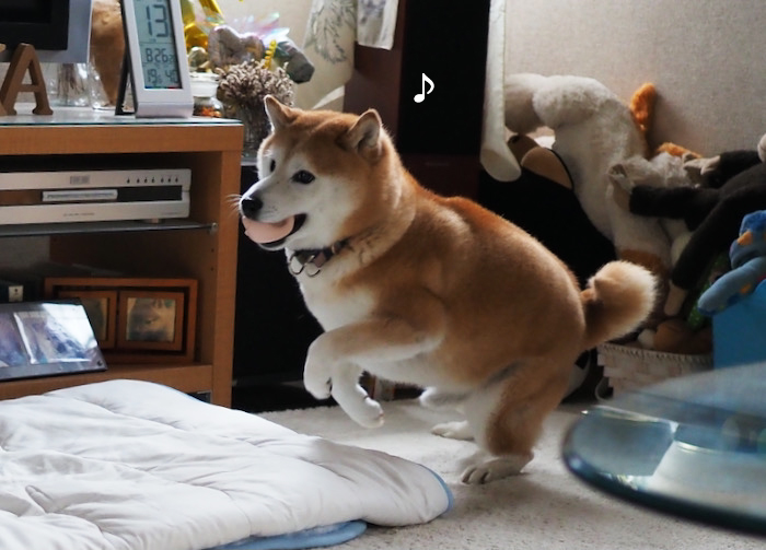 13日ブログ４