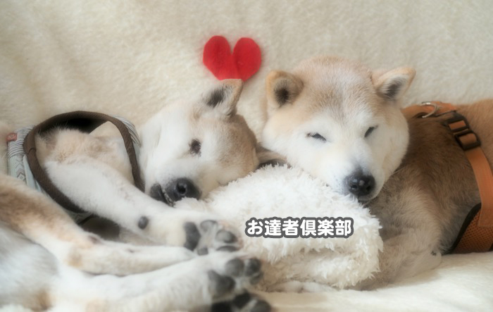 18日ブログ３