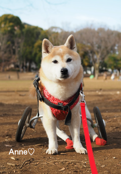 31日ブログ３