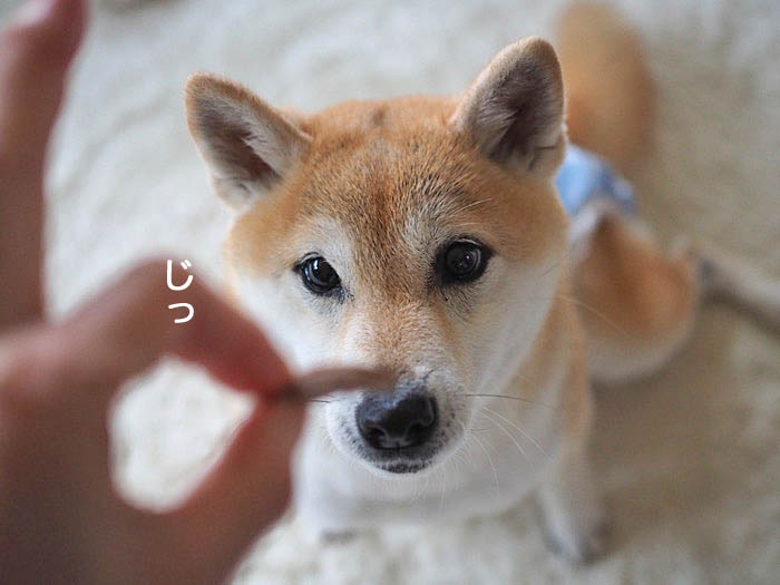 26日ブログ５