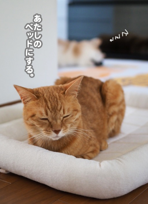 2日夕ブログ５
