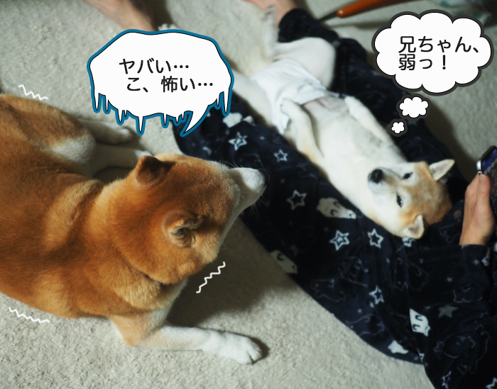 1日夜ブログ８