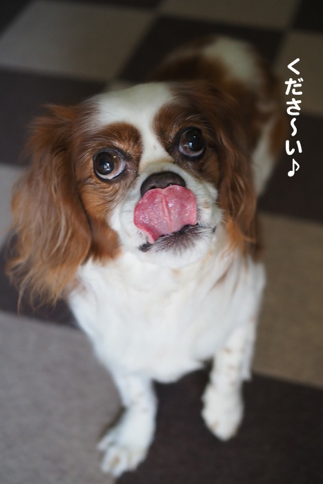 28日夜ブログ6