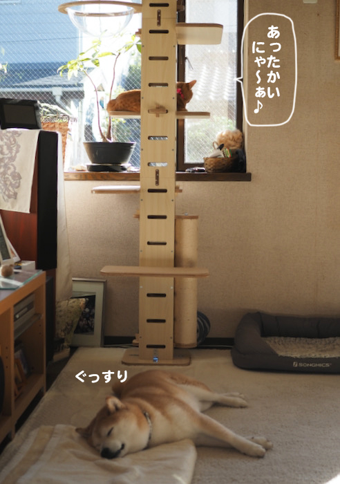 27日ブログ２