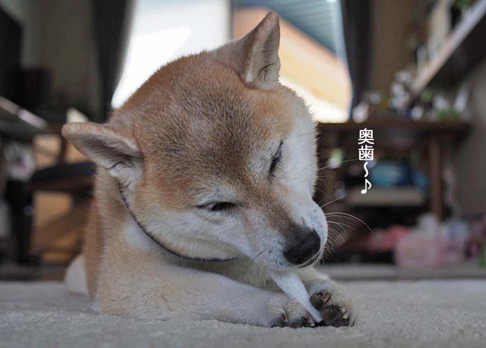 18日ブログ７