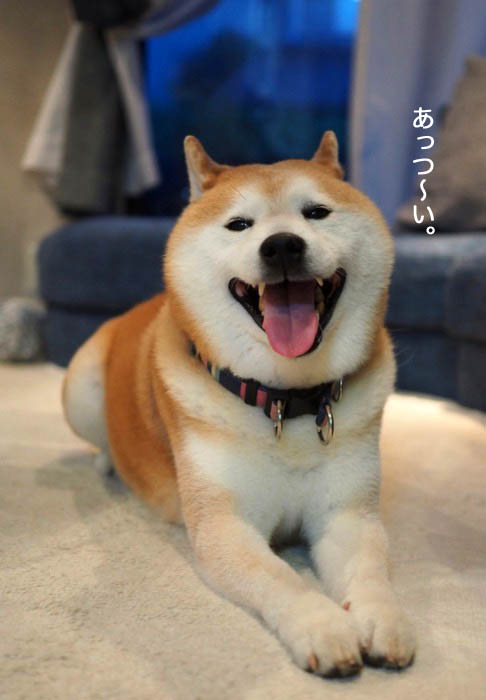 20日夜ブログ５