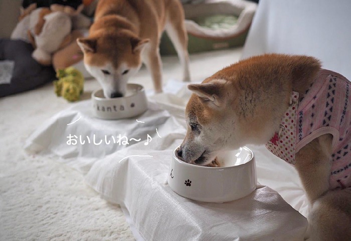 3日午後ブログ8