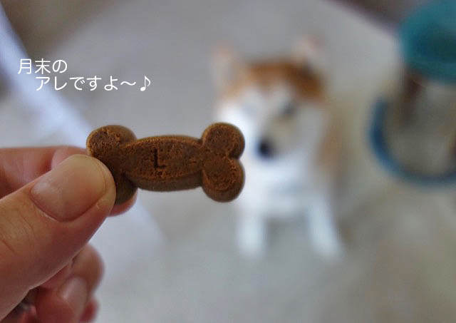 31日先ブログ2