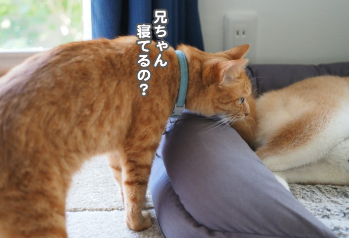 12日ブログ３