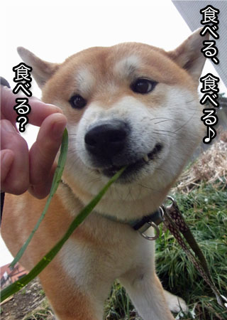 9日ブログ8.jpg