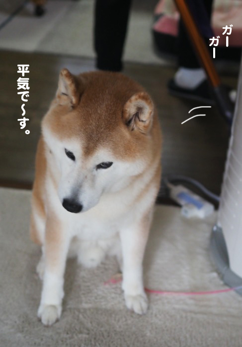 4日夕ブログ２