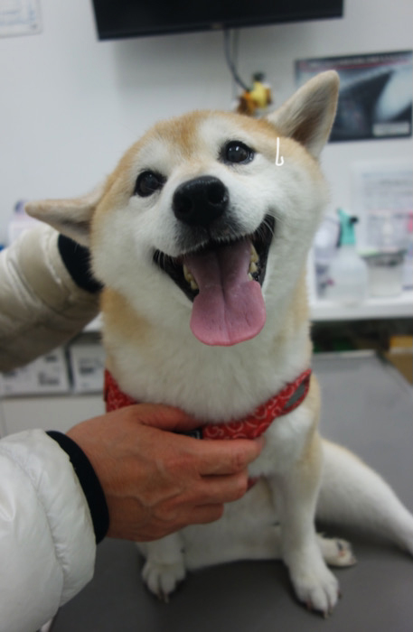1日夜ブログ１０
