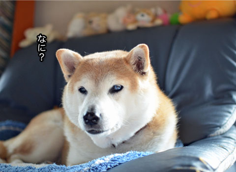 6日ブログ9.jpg