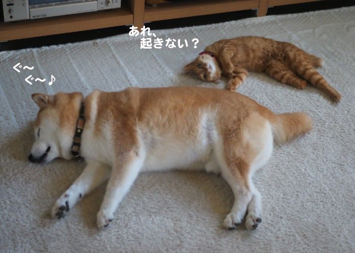 10日夕ブログ８