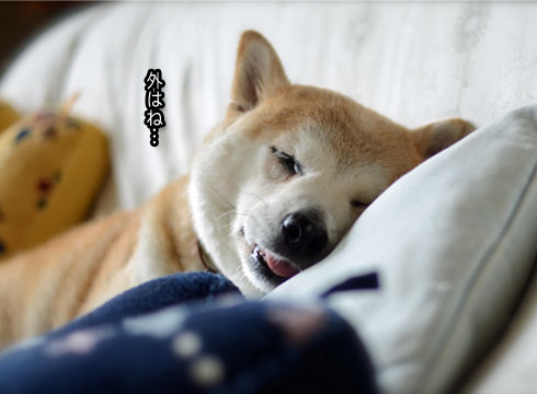 23日ブログ4.jpg