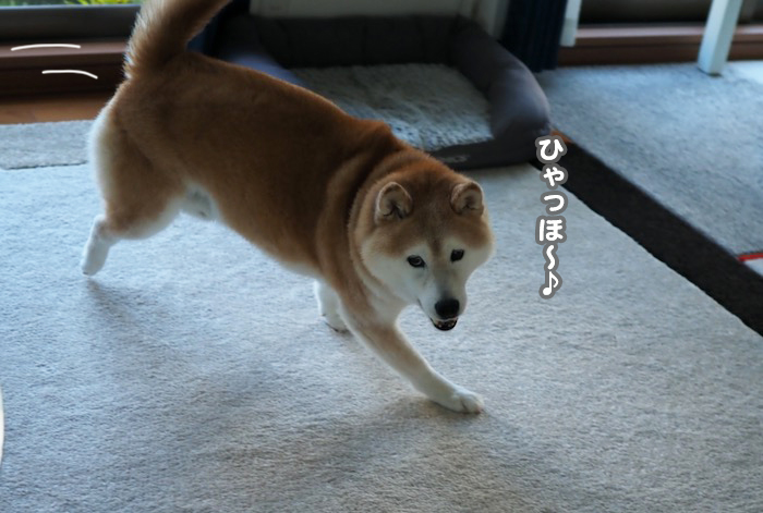 20日夕ブログ４