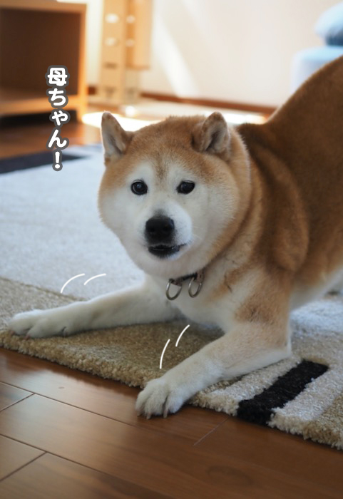 5日ブログ２