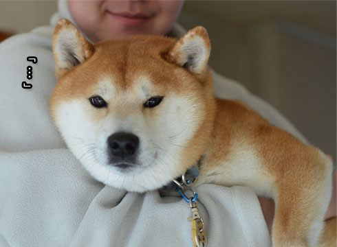 4日ブログ8.jpg