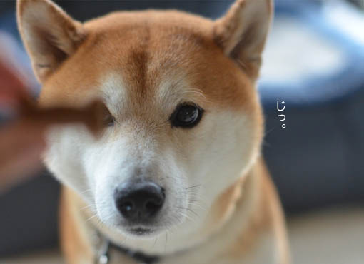 31日ブログ5.jpg