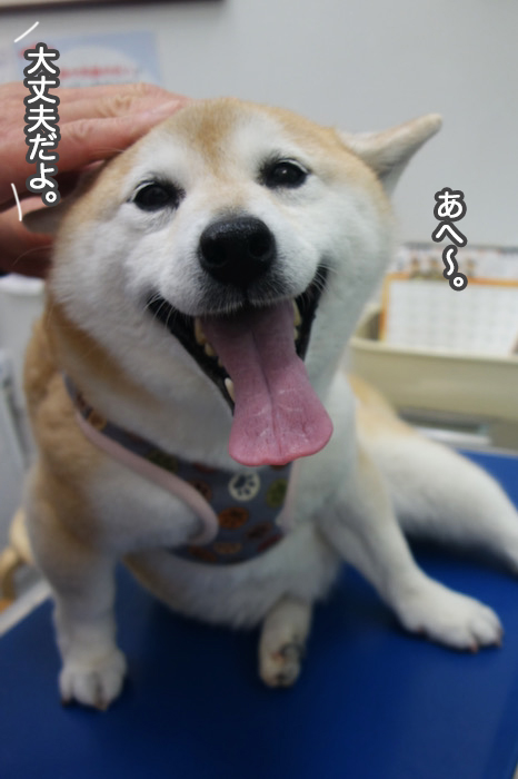 23日夜ブログ７