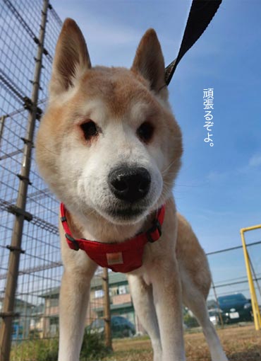 25日ブログ2.jpg