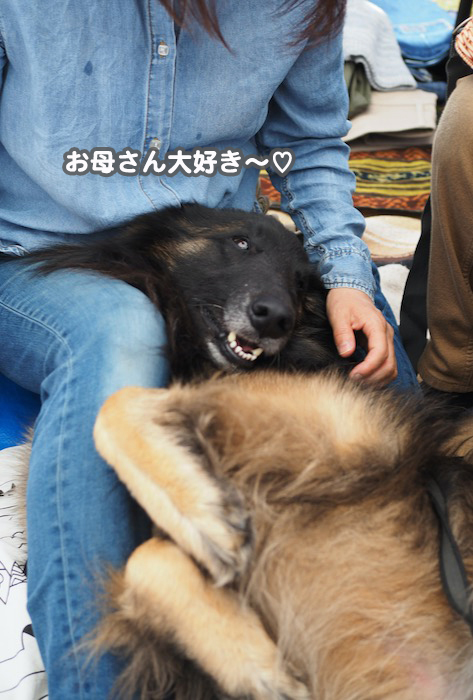 30日夕用ブログ５