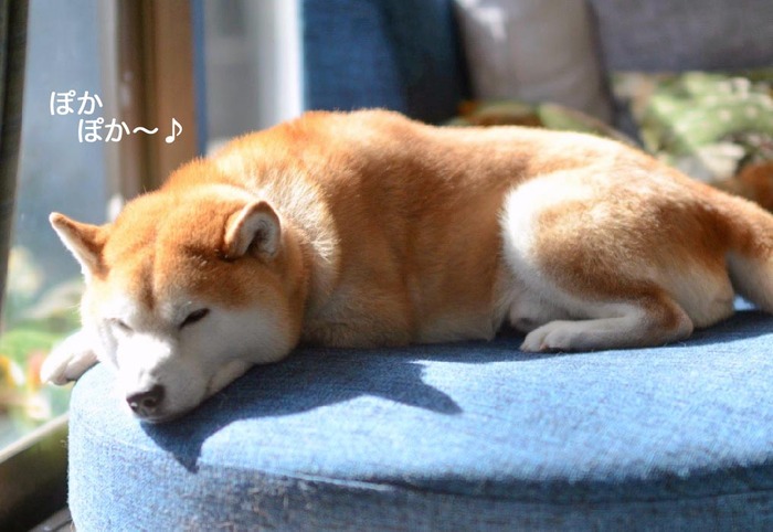 15日夜ブログ７