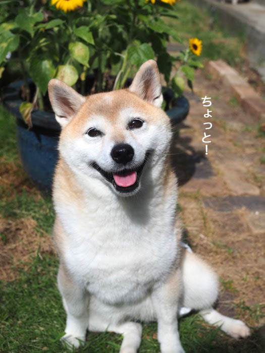 6日夕ブログ４
