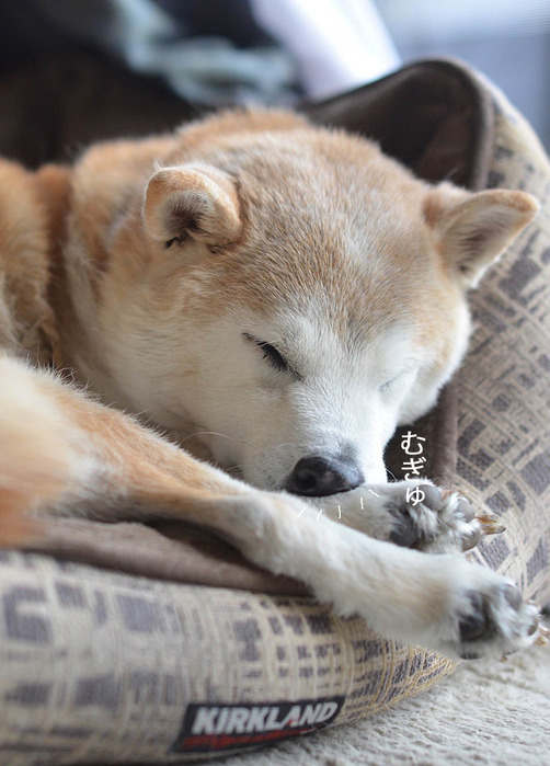 26日ブログ3