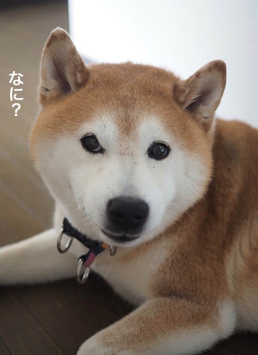 7日夜ブログ２