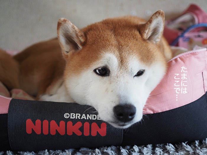 4日ブログ２