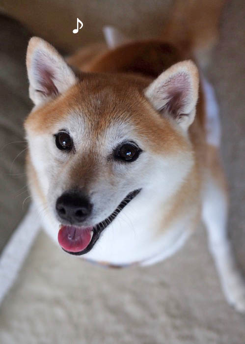 6日ブログ５