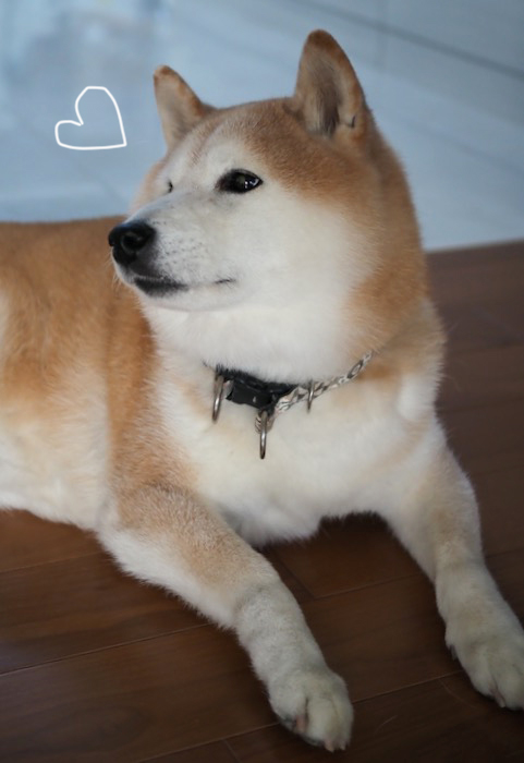28日夜ブログ３