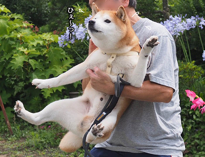 3日午前ブログ２