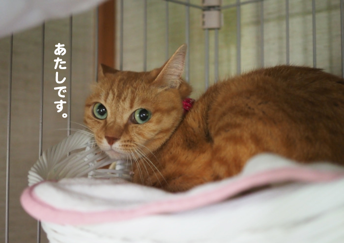 11日ブログ２