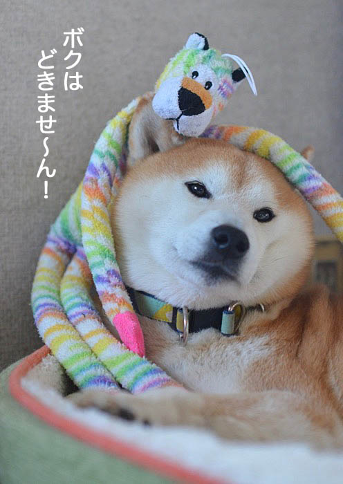 30日ブログ4