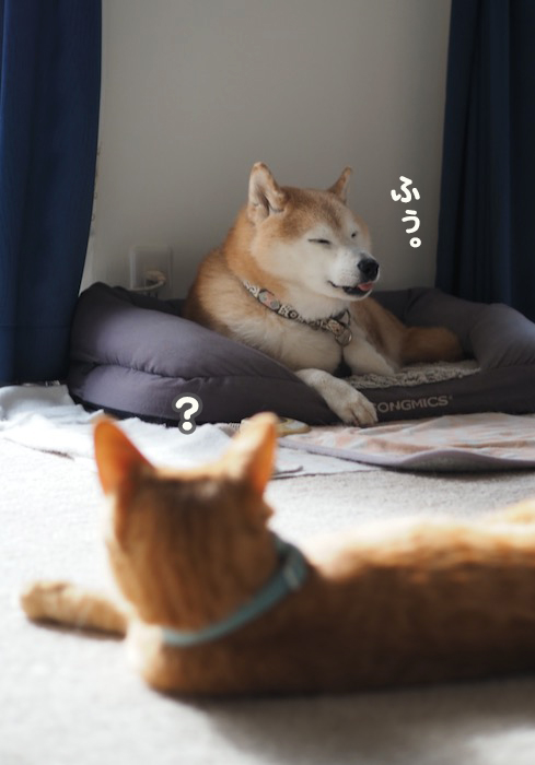 10日夕ブログ１０