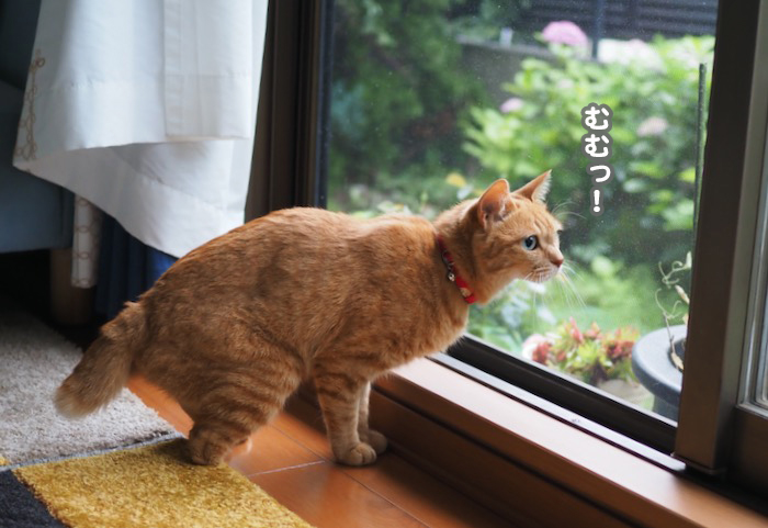 11日ブログ４