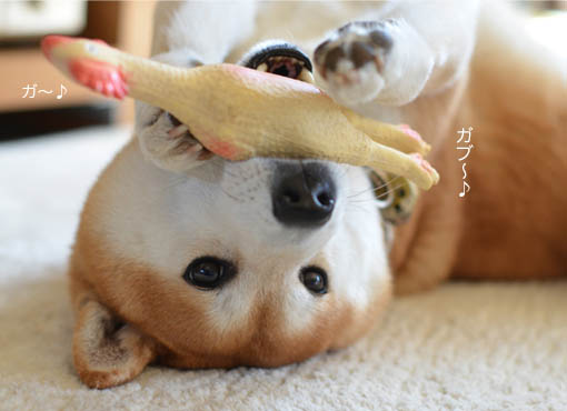 16日ブログ６.jpg