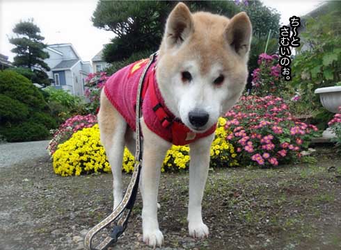 5日ブログ6.jpg