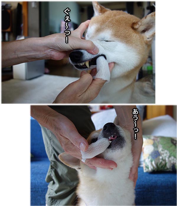 18日ブログ４