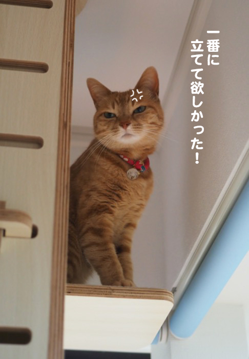 5日夕ブログ５jpg