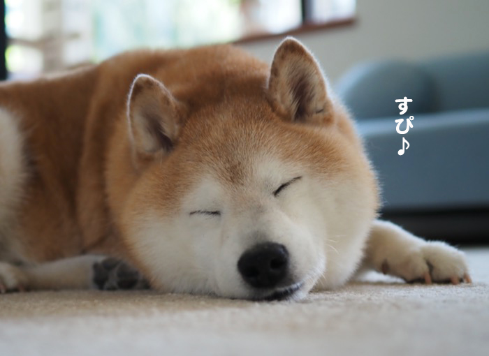 13日夕ブログ３