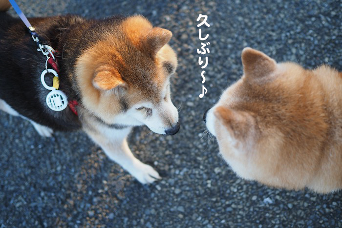 29日夜ブログ２
