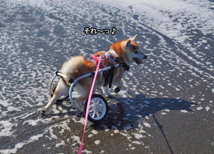28日夜ブログ３
