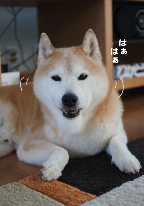 5日夕ブログ２
