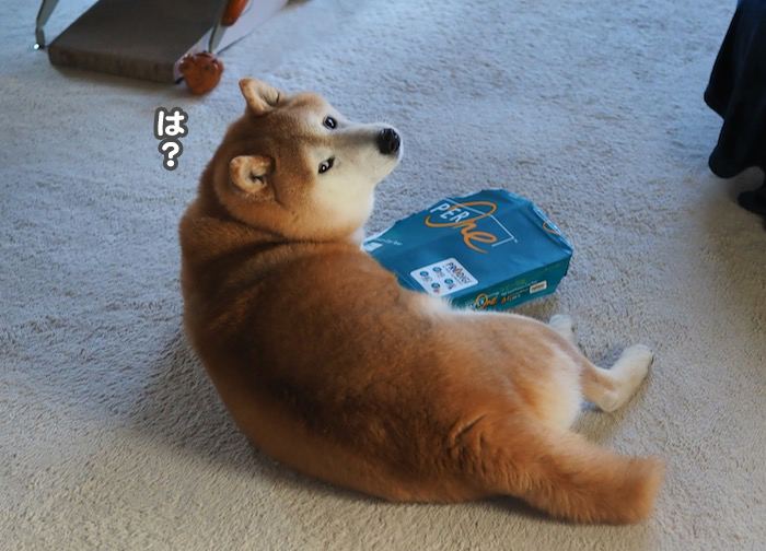 28日夕ブログ８